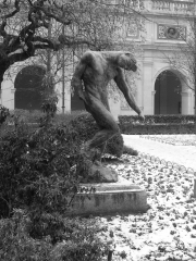 sculpture, palais des beaux arts, lyon